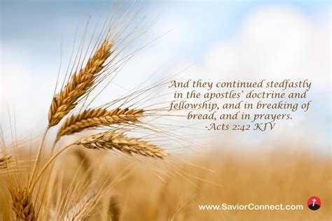 acts 4 kjv|Acts 2:42,Acts 6:4 KJV .